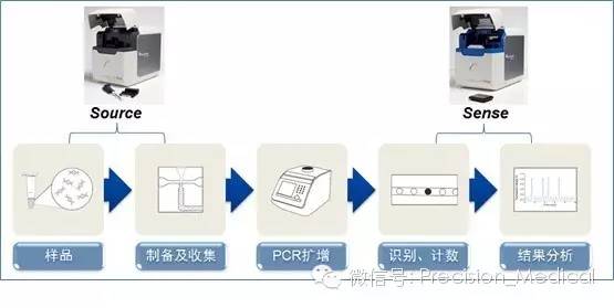 基因突變檢測技術 原理、應用與未來展望